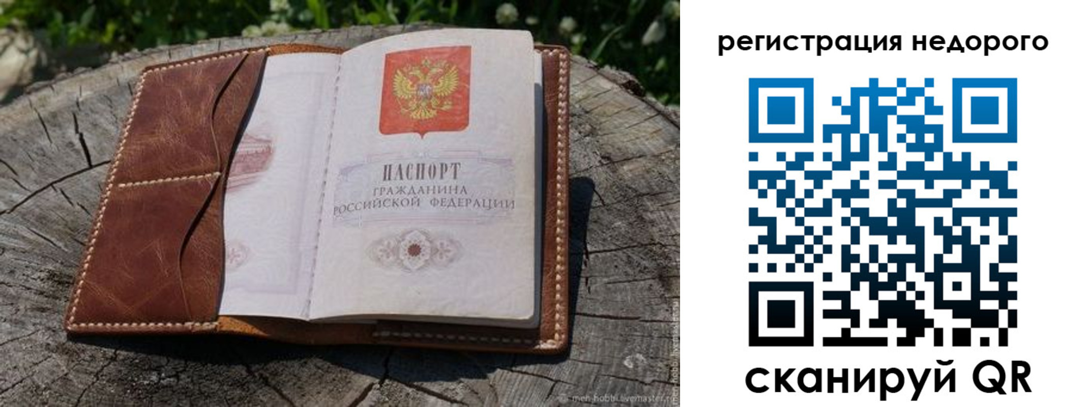 прописка гарантия в Ростовской области